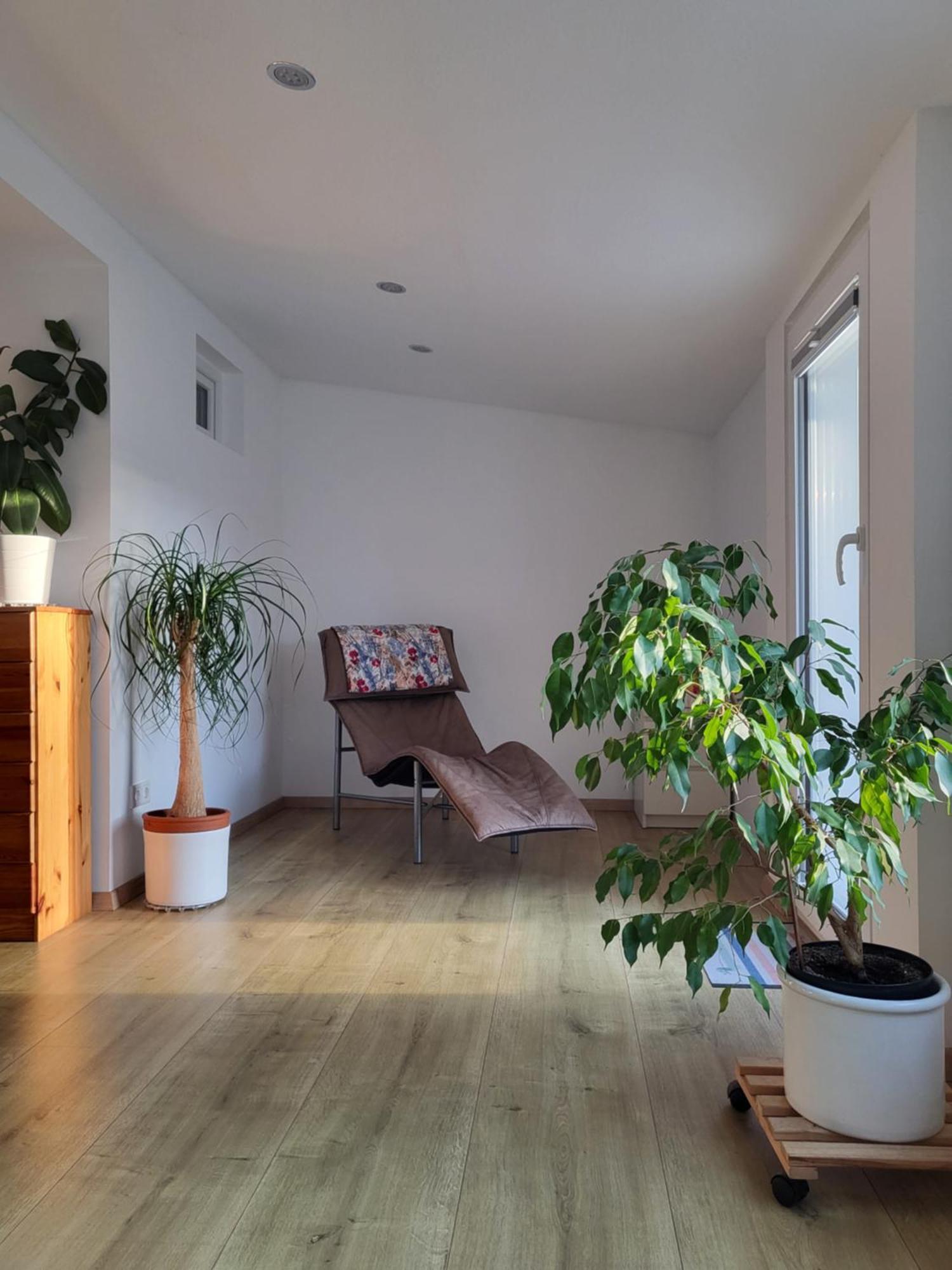 Bungalow In Messenaehe Hannover Eksteriør billede